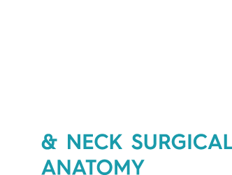 Curso Full Face Anatomy, 13th Edition. - Aperfeiçoamento em cirurgia plástica facial